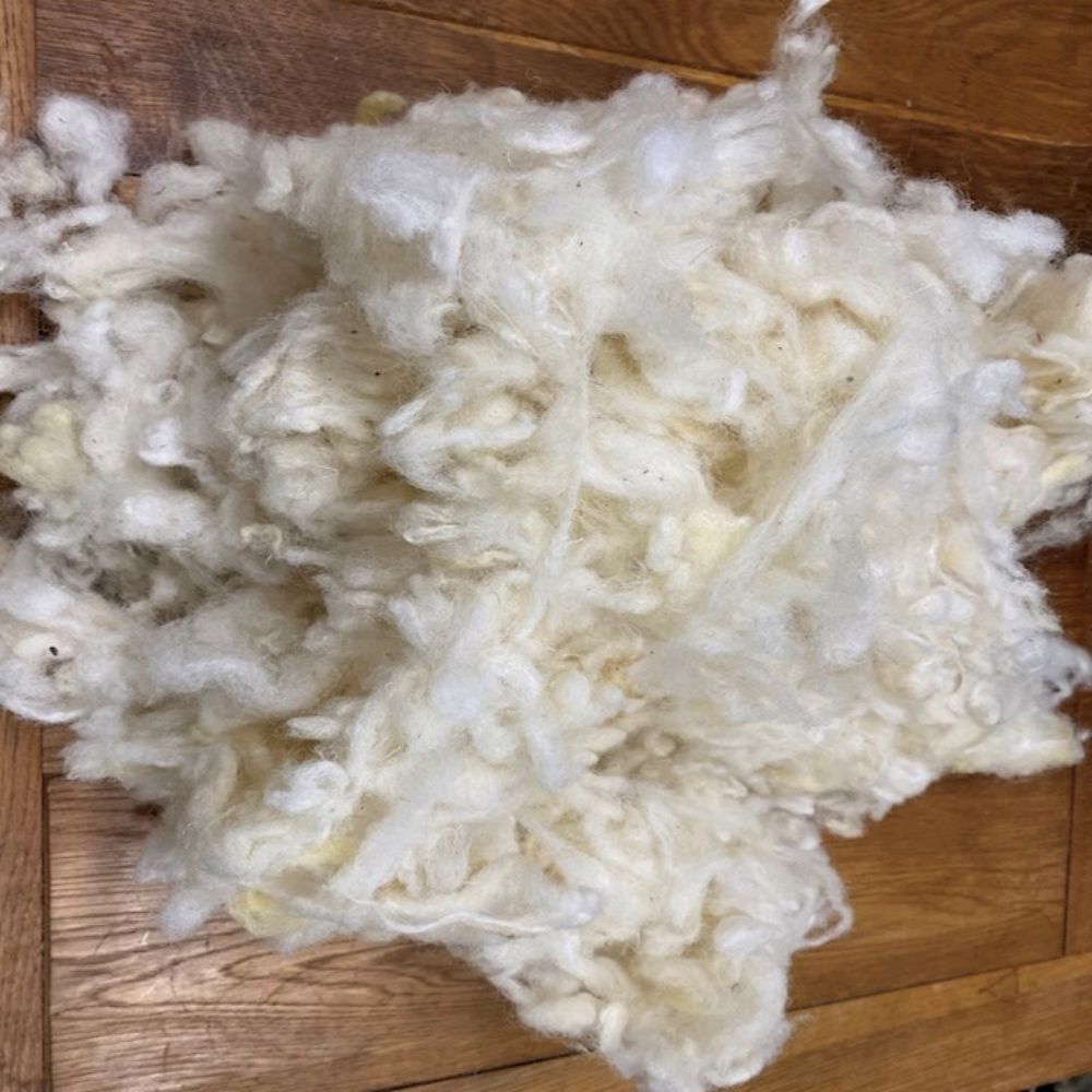 Double Scoured UK Fleece - unprocessed wool from the bale